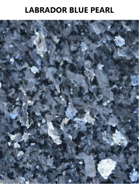 labradorbluepearl